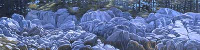 Seal Bay Rocks II, oils, 16" x 64", 2001, priv coll